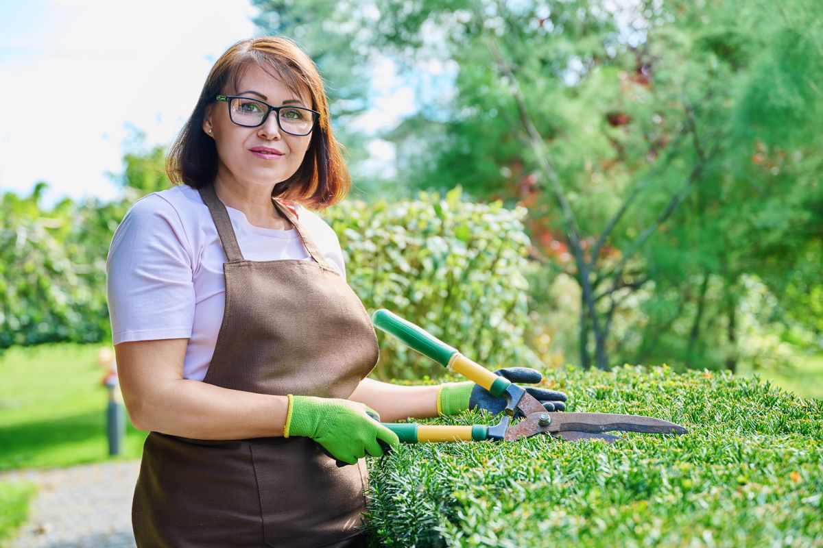 Gartenpflege durchs Jahr: Saisonkalender & Arbeiten