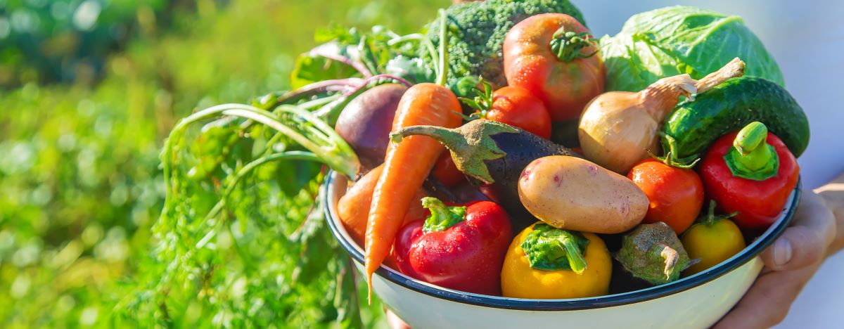 Saisonkalender Deutschland: Obst & Gemüse Saison