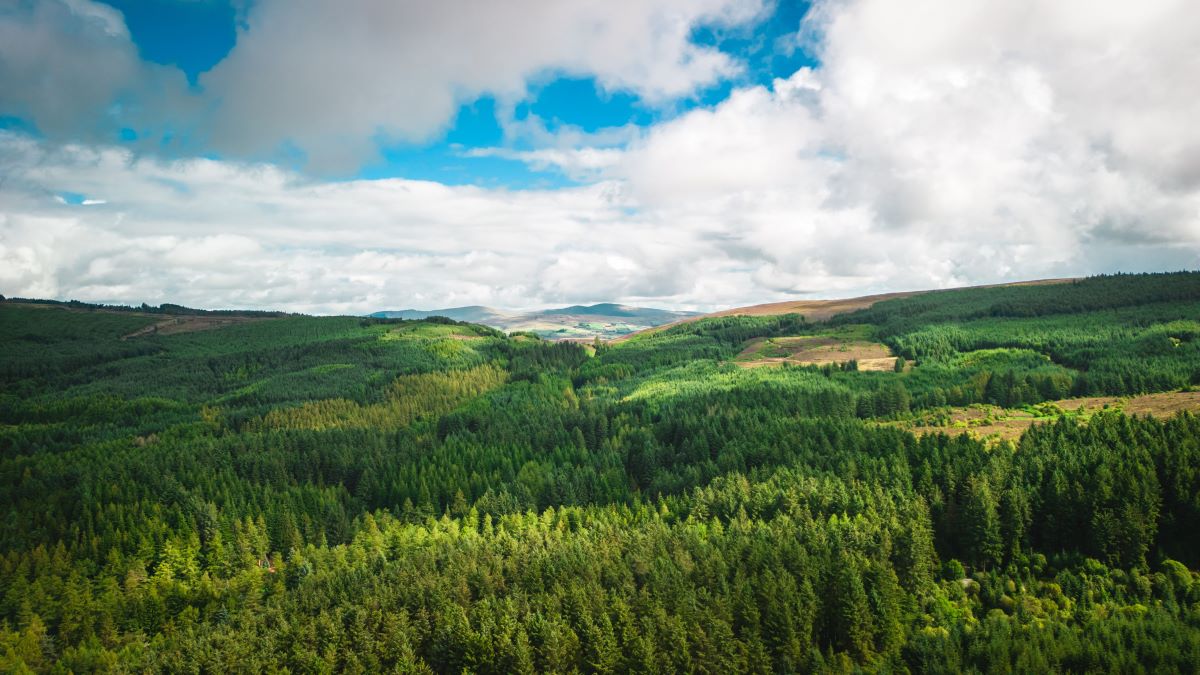 Natur entdecken vor der Haustür - Schätze & Abenteuer