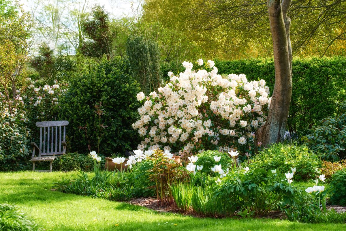 Ruhe im eigenen Garten in Friesland — Der perfekte Rückzugso