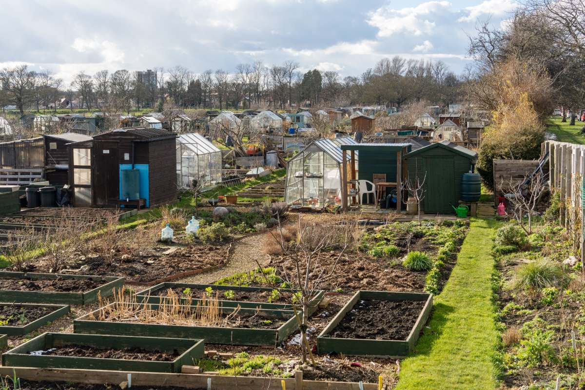 Schrebergarten in Friesland: Pacht, Regeln und praktische Ti